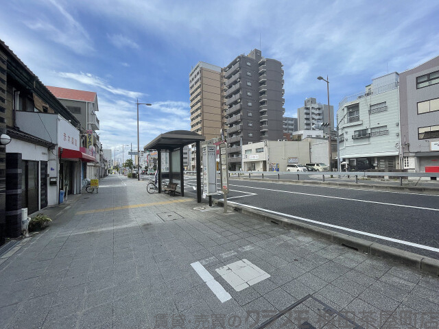 その他　周辺道路（その他）まで10m