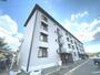 HIIKAWA APARTMENT 3階 築50年5ヶ月の賃貸物件