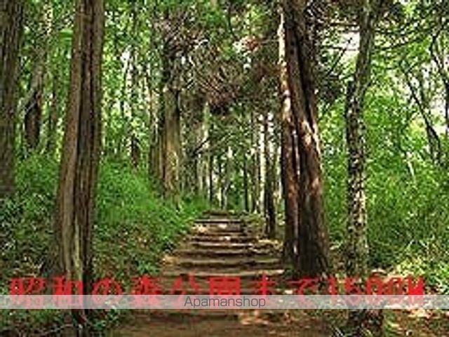 公園　昭和の森公園（公園）まで1500m