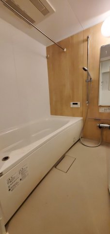 バス・シャワールーム　※他号室のお写真になります。