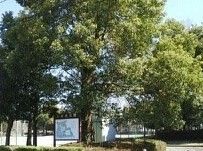 公園　舟地蔵公園（公園）まで1800m