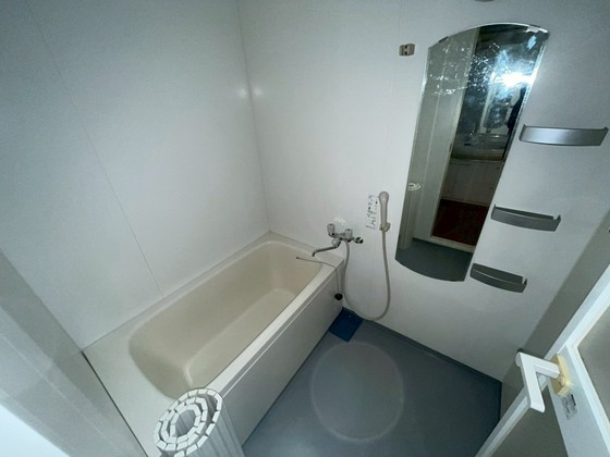バス・シャワールーム　※別部屋の写真です