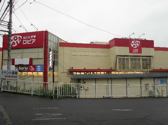 スーパー　セリア ロピア綾瀬店（スーパー）まで1167m