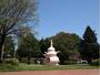 公園　桜美公園（公園）まで559m