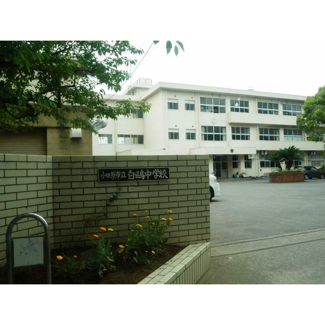 中学校　小田原市立白鴎中学校（中学校）まで1803m