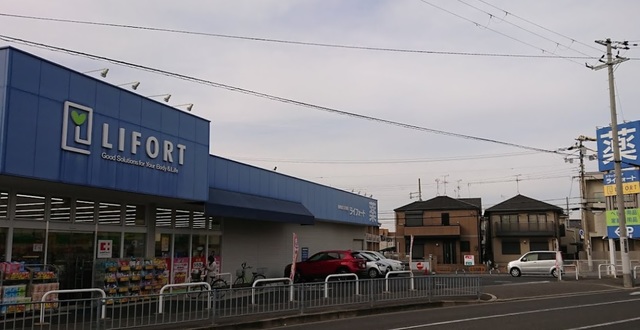 ドラックストア　ドラッグストアライフォート長曽根店（ドラッグストア）まで462m
