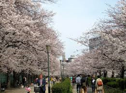 公園　南天満公園（公園）まで365m