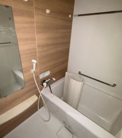 バス・シャワールーム　落ち着いた空間のお風呂です
