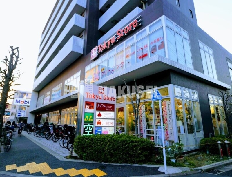 スーパー　東急ストア駒沢通り野沢店（スーパー）まで103m