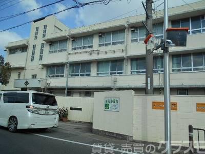 小学校　堺市立深井小学校（小学校）まで1091m
