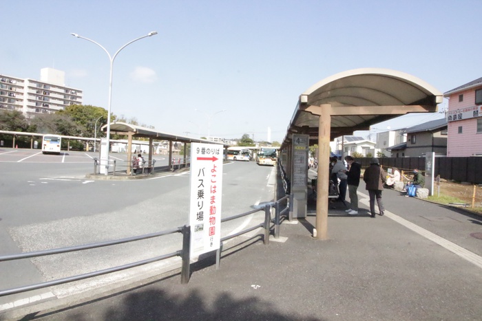 公園　鶴ヶ峰バスターミナル（公園）まで1000m
