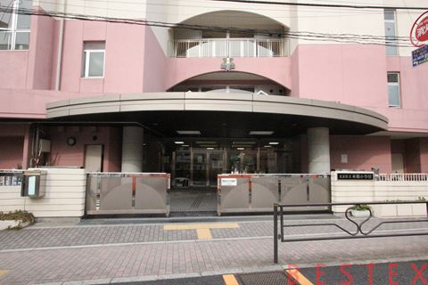 小学校　文京区立本郷小学校（小学校）まで265m
