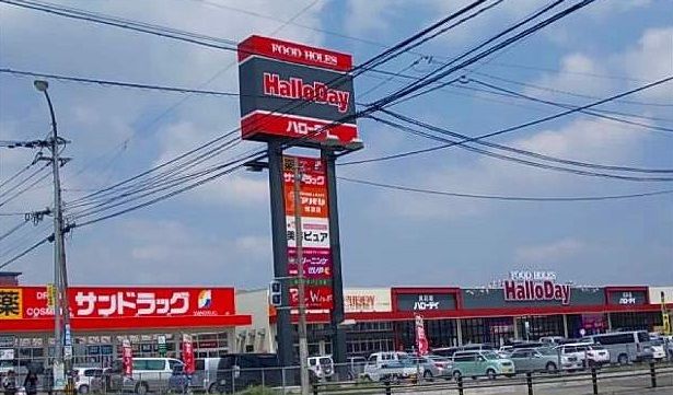 スーパー　ハローデイ（スーパー）まで1100m