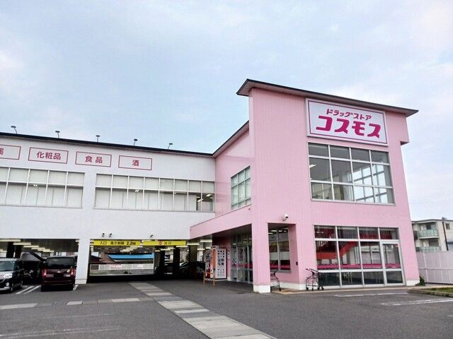 ドラックストア　コスモスベルロード店様（ドラッグストア）まで730m