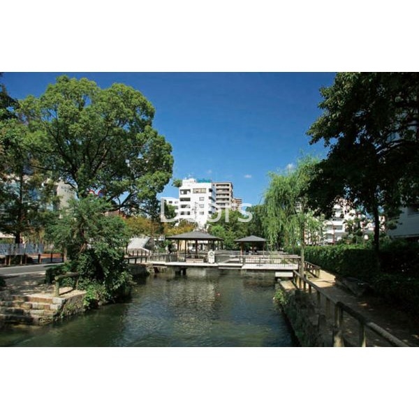 公園　枝川緑道公園（公園）まで259m