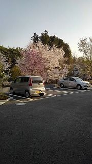 ＪＲ五日市線 武蔵増戸駅 徒歩18分 2階建 築9年のその他写真
