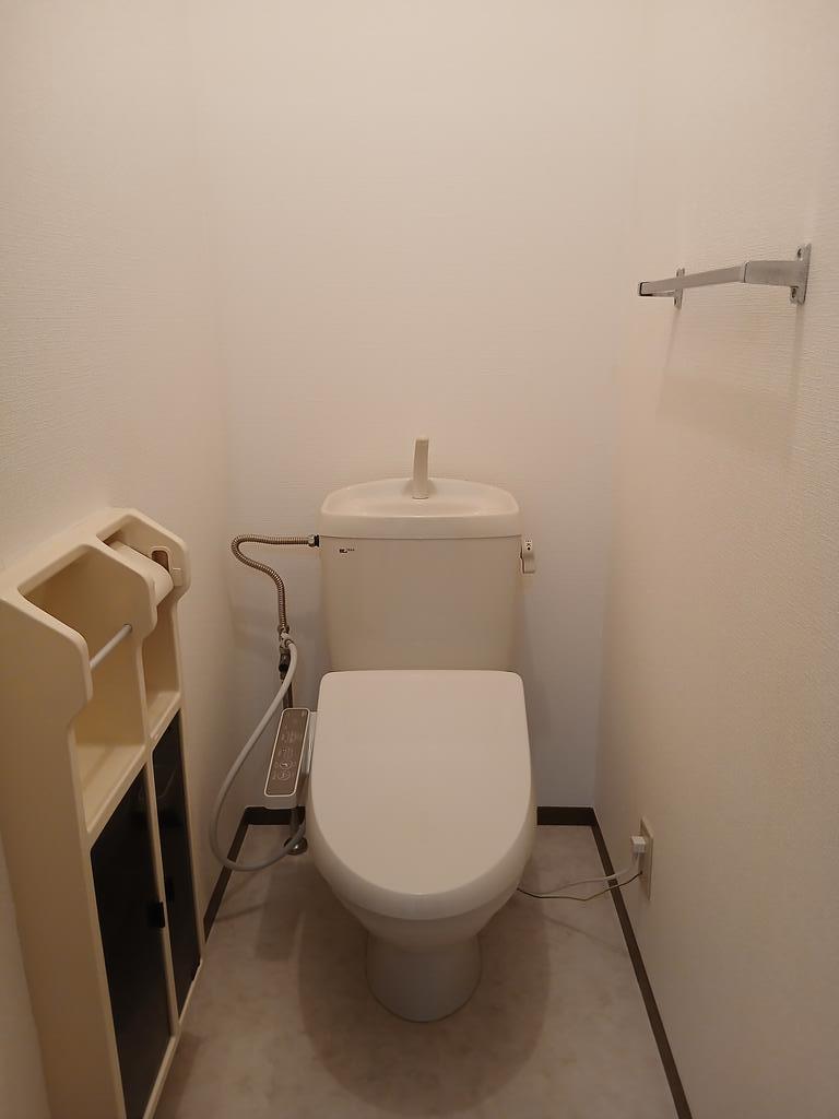 グレースウエストヒルズB棟のトイレ写真