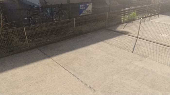 庭