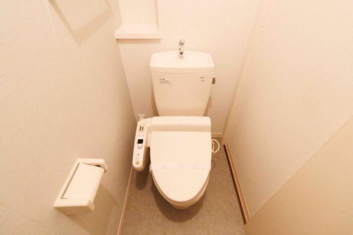 ロイヤルガーデン砺波IIのトイレ写真