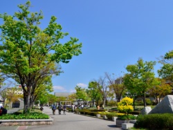 公園　梅小路公園（公園）まで520m