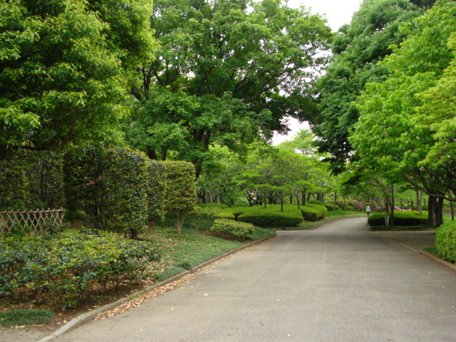 その他　八坂公園（その他）まで320m
