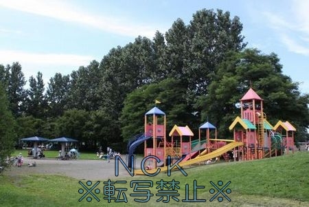公園　屯田西公園（公園）まで100m
