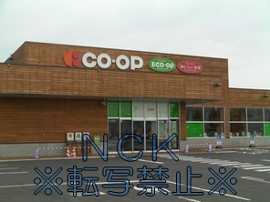 スーパー　コープ（スーパー）まで600m