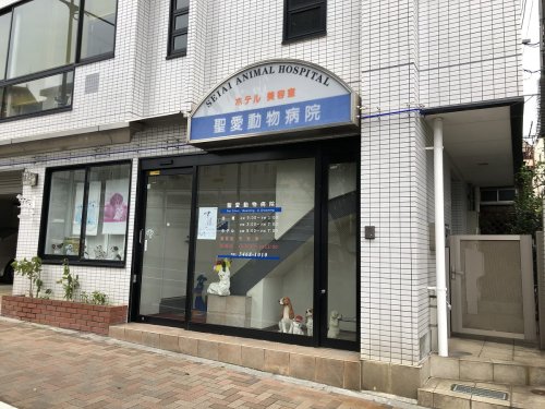 病院　聖愛動物病院（病院）まで1087m