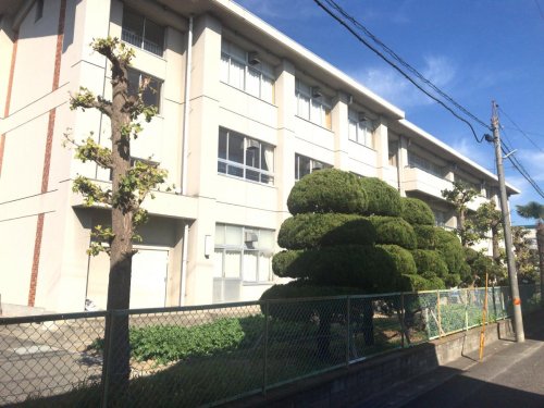 小学校　平井小学校（小学校）まで875m