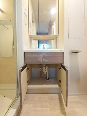 洗面設備　BLESS上池袋