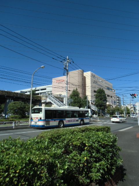 スーパー　ビッグヨーサン 綱島樽町店（スーパー）まで350m
