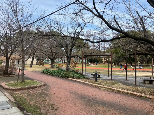 公園　山王公園（公園）まで725m