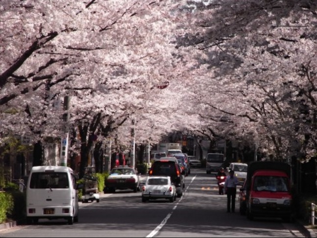 その他　NEW不動前駅（その他）まで996m