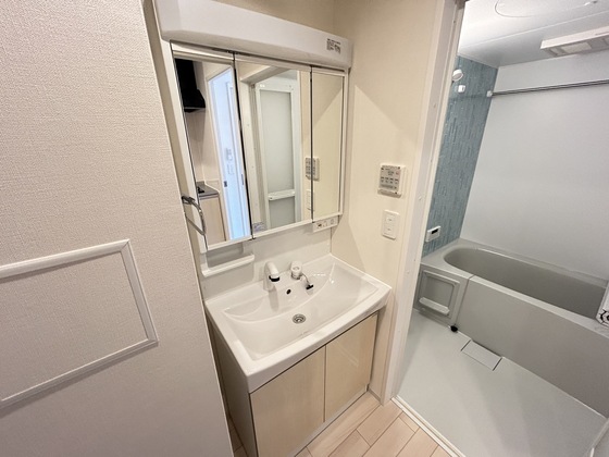 洗面設備　※別部屋の写真です