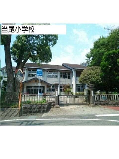 小学校　当尾小学校（小学校）まで1030m