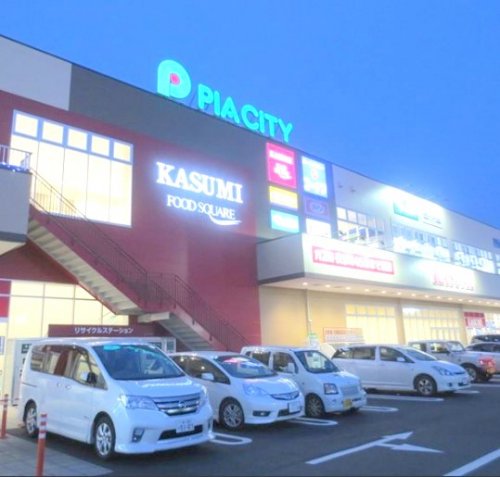 スーパー　カスミ フードスクエア柏中新宿店（スーパー）まで1593m