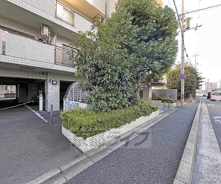 庭