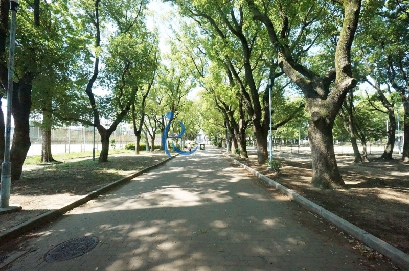 公園　平野白鷺公園（公園）まで445m