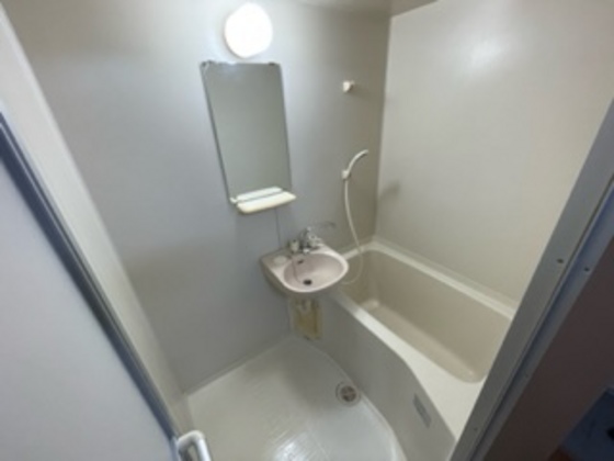 バス・シャワールーム　※別部屋の写真です