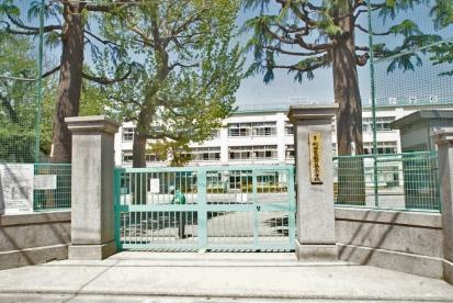 小学校　杉並区立 桃井第三小学校（小学校）まで492m