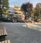 その他　芳林公園（その他）まで1205m
