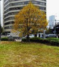 公園　岩本町馬の水飲広場（公園）まで446m