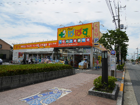 ドラックストア　どらっぐ ぱぱす 伊興町店（ドラッグストア）まで484m