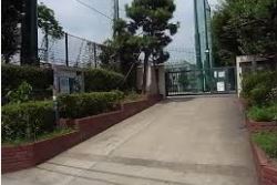 中学校　渋谷区立松濤中学校（中学校）まで490m