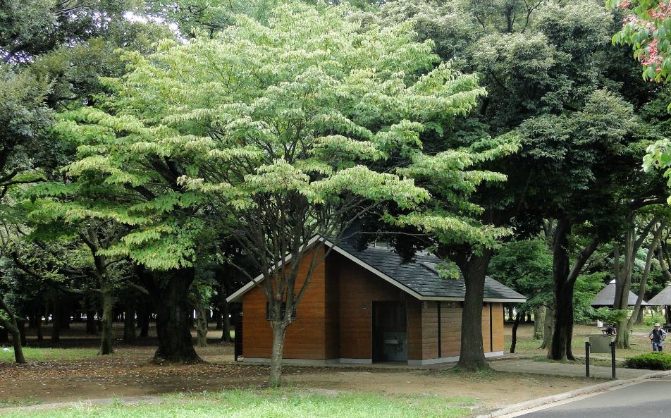 公園　代々木公園 南門（公園）まで929m