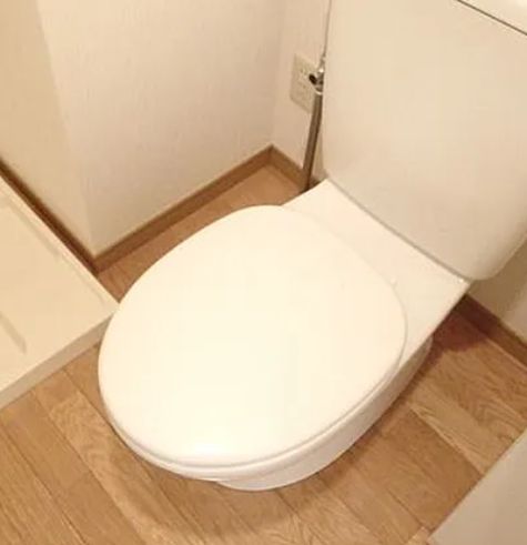 トイレ　落ち着いた色調のトイレです