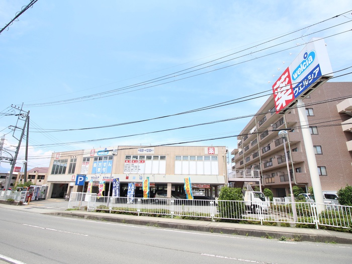 ドラックストア　ウエルシア小田原堀之内店（ドラッグストア）まで1000m