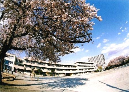 小学校　西東京市立田無小学校（小学校）まで386m