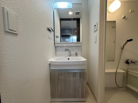 洗面設備　※別号室の写真です。