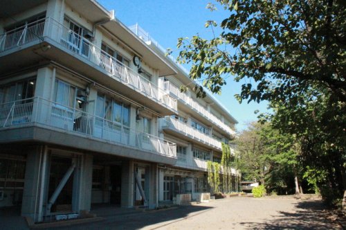 中学校　調布第四中学校（中学校）まで726m